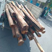 هرس و خرید انواع چوب با بالاترین قیمت