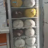 فریزرکینو۷۰سانتی