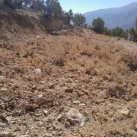 1000 متر زمین باغشهری|فروش خانه و ویلا|ارژن, |دیوار