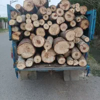 خرید و برش انواع چوب|خدمات باغبانی و درختکاری|نقده, |دیوار