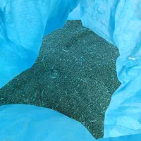 بزریونجه محلی