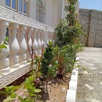 ویلا نقلی در صوفیان کوی میلاد سبز به متراژ 300 متر|فروش خانه و ویلا|صوفیان, |دیوار