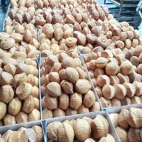 تولید کننده انواع شیرینی برای مراسمات قیمت عمده|خوردنی و آشامیدنی|زاهدان, |دیوار