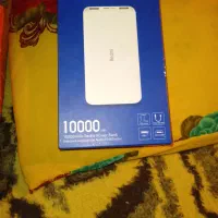 پاوربانک شیامی