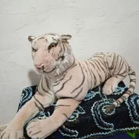 عروسک.ببروخرس.بفروش.میرسد