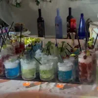 بارمن / بارتندر / تشریفات / کوکتل / آبمیوه طبیعی|خدمات پذیرایی، مراسم|تهران, الهیه|دیوار