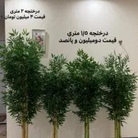 درختچه مصنوعی بامبو|گل مصنوعی|قوچان, |دیوار