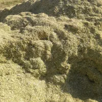 کاه لوبیا|عمده‌فروشی|بروجن, |دیوار