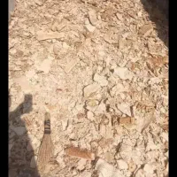 نان خشک