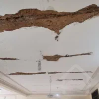 گچکاری ولکه گیری لکه گیری لکه گیری