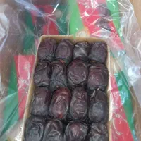 عمده فروشی انواع رطب جنوب