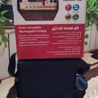 فروش یک دستگاه اکو همراه بیسیم|صوتی و تصویری|دزفول, |دیوار