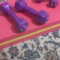 دمبل و تخت استپ. مدل فومی ۳ لایه|تجهیزات ورزشی|تهران, استخر|دیوار