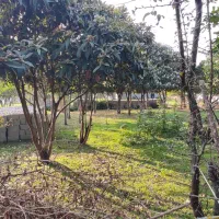 فروش-زمین-سند-شش-دانگ