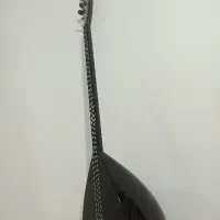 ساز دیوان حرفه‌ای|سازهای سنتی|سنندج, |دیوار