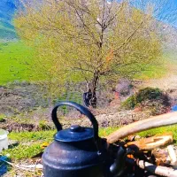 قوری کوه