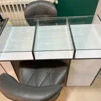 ناخنکار حرفه ای با مشتری