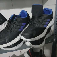 کفش فقط ۲۶۰ هزار فقط عمده ارسال رایگان