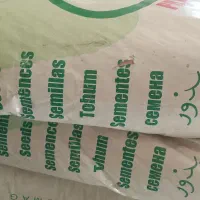بذر نخود فرنگی اصل|خدمات باغبانی و درختکاری|کلاله, |دیوار