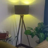 درود.آباژور نو و سالم طوسی