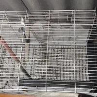 وسایل متفرقه|حراج|بجنورد, |دیوار