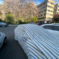 چادر ساینا اس