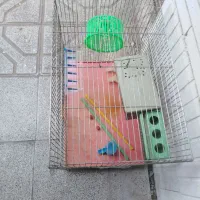 قفس پرنده