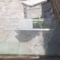 آکواریوم