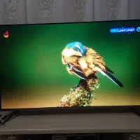 ال ای دی دوو ۵۵ اینچ در حد صفر|تلویزیون و پروژکتور|اردبیل, |دیوار