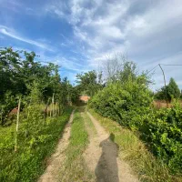 2هزارو 400متر متر ویلای سندتک برگ بهشتی|فروش خانه و ویلا|رشت, پسیخان|دیوار