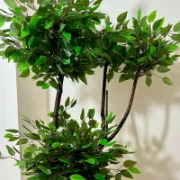 ساخت انواع درختچه مصنوعی|گل مصنوعی|گرگان, |دیوار