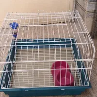 قفس خرگوش و خوکچه هندی