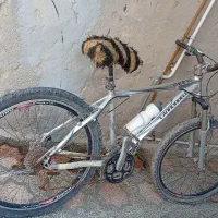 دوچرخه 26