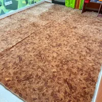 موکت درحد نو سالم