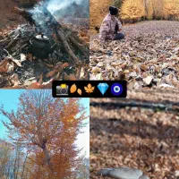 راهنمای گردشگر|تور و چارتر|توتکابن, |دیوار