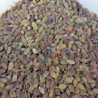 به به عجب کشمش سبز خوشمزه و با کیفیتی