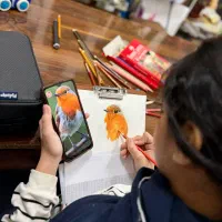 آموزش تخصصی نقاشی
