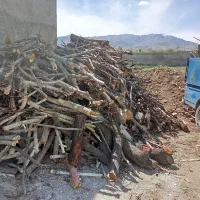 خدمات باغبانی و درختکاری