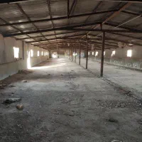 مرغداری صنعتی|فروش دفتر صنعتی، کشاورزی، تجاری|ملکآباد, |دیوار