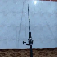 لنسر ماهی گیری