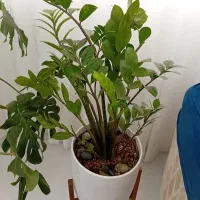 متفرقه
