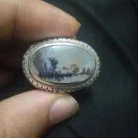 انگشتر شجر منظره