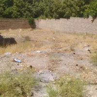 ۳۳۷/۵ زمین در بهترین جای بلوار سد لتیان خ سرهنگ|فروش زمین و ملک کلنگی|جاجرود, |دیوار