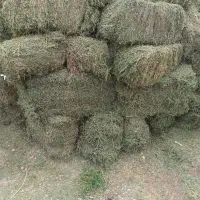 پرس یونجه خشک انباری