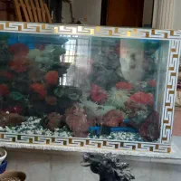 فروش اکواریوم