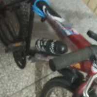 دو عدد دوچرخه