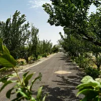 چهاردیواری باغ وباغچه/زمین باغی /باسندوانشعابات|فروش زمین و ملک کلنگی|تهران, شهرک فردوس (حسینی)|دیوار