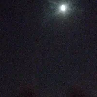 پلاک موتورگم شده امشب