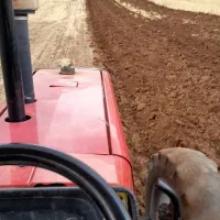 شخم زدن و انجام خدمات کشاورزی