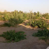 فروش باغ|فروش خانه و ویلا|لالجین, |دیوار